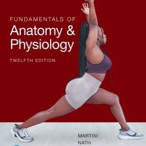 Fundamentals of Anatomy and Physiology 12th Edition by Martini Test Bank
