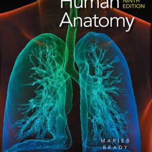 Human Anatomy 9th edition by Marieb Test Bank