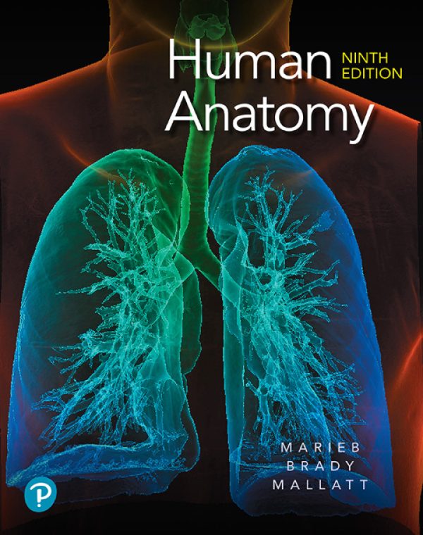 Human Anatomy 9th edition by Marieb Test Bank