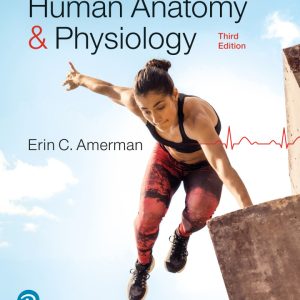Human Anatomy and Physiology 3rd Edition by Amerman TEST BANK