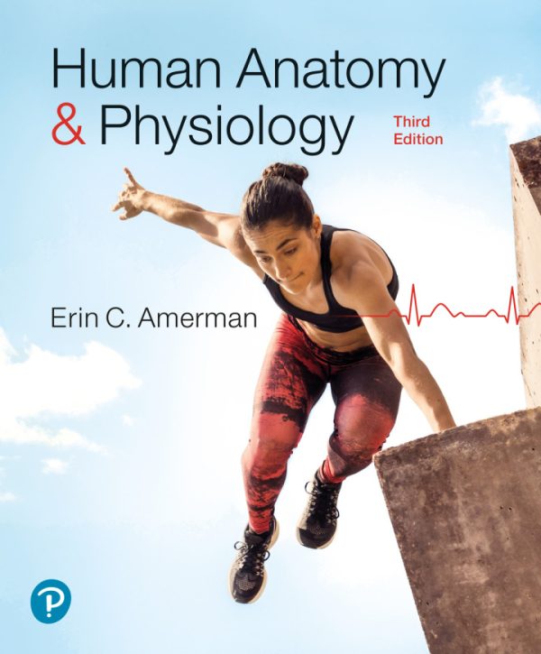 Human Anatomy and Physiology 3rd Edition by Amerman TEST BANK