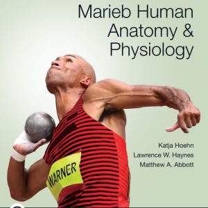 Marieb Human Anatomy and Physiology 12th Edition by Hoehn TEST BANK