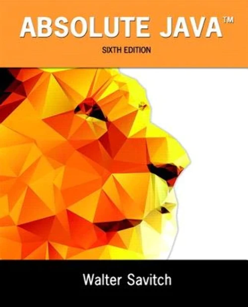 Absolute Java 6th Edition by Walter Savitch Test Bank