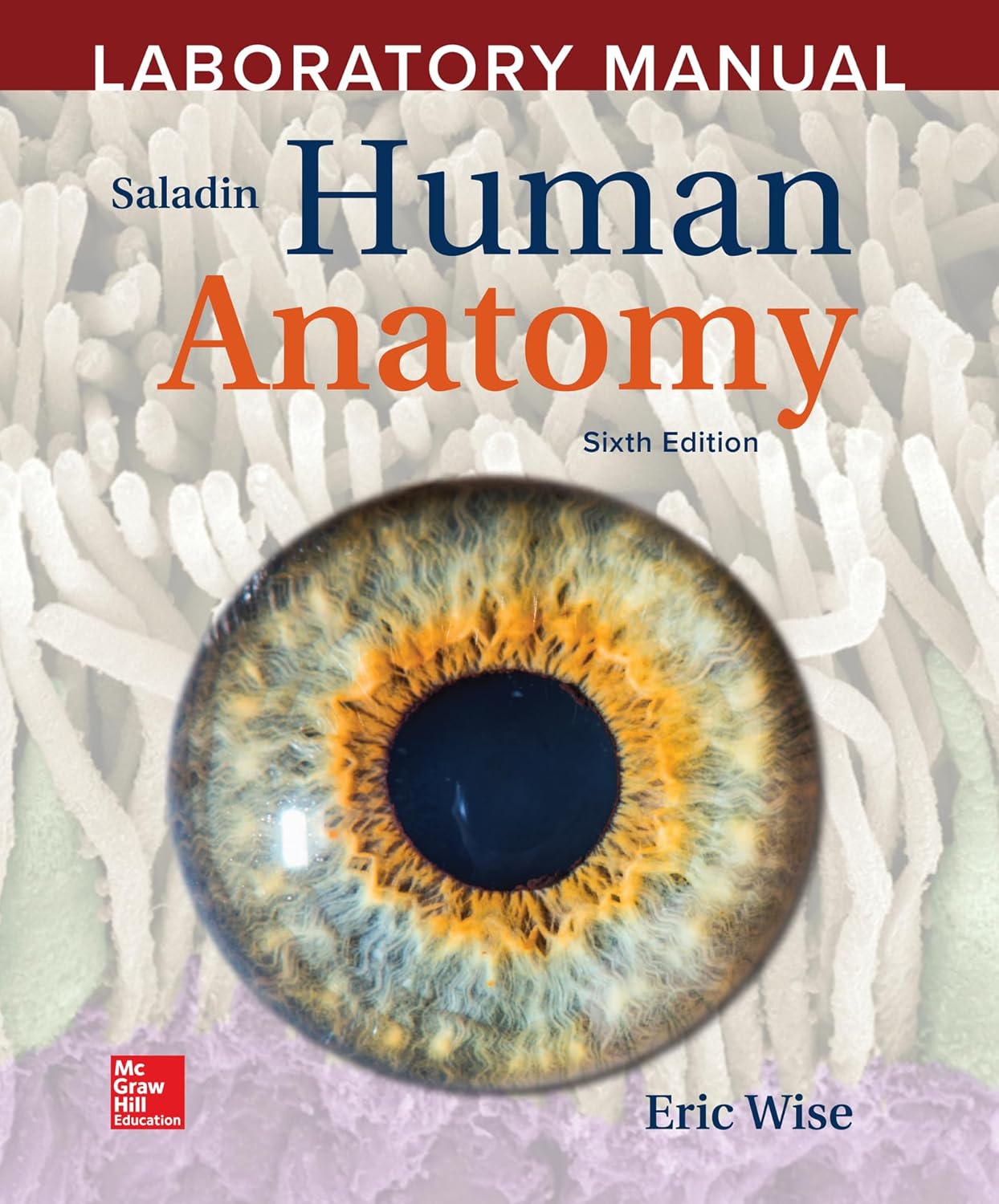 Accompany Saladin Human Anatomy, 6th Edition by Eric Wise Solution Manual