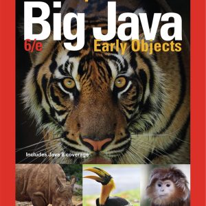 Big Java Early Objects 6th Edition by Horstmann SOLUTION MANUAL