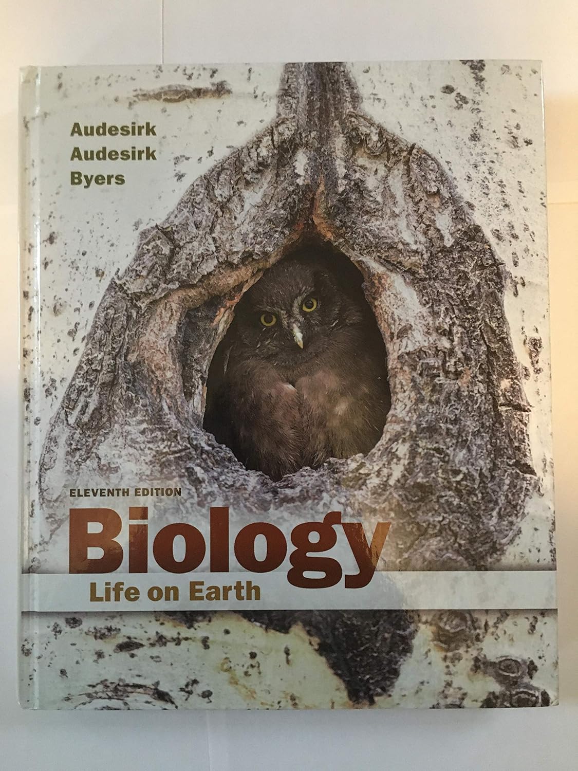 Biology Life on Earth 11th Edition by Gerald Audesirk Test Bank
